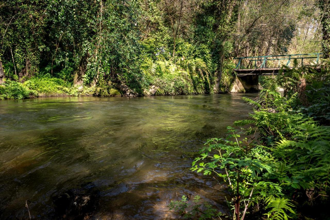 Pensjonat Quinta De Mouraes Casa Dos Rododendros Lever Zewnętrze zdjęcie