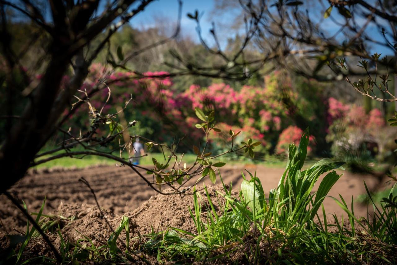 Pensjonat Quinta De Mouraes Casa Dos Rododendros Lever Zewnętrze zdjęcie