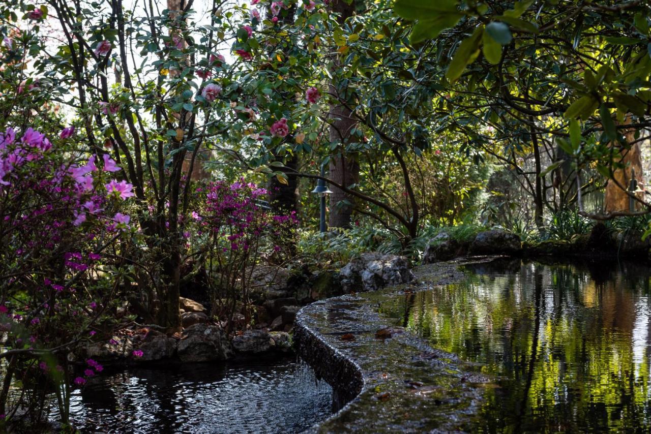 Pensjonat Quinta De Mouraes Casa Dos Rododendros Lever Zewnętrze zdjęcie