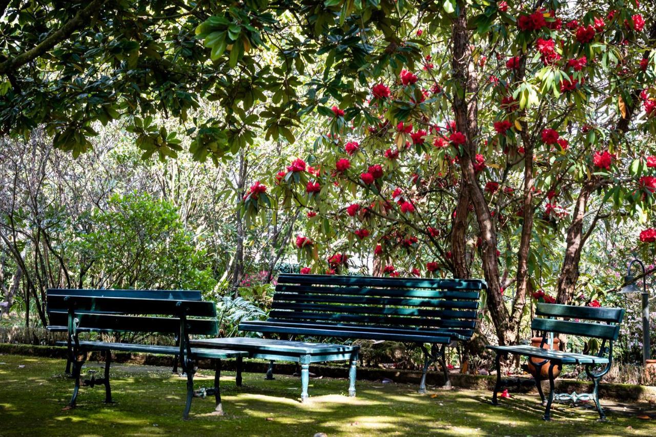 Pensjonat Quinta De Mouraes Casa Dos Rododendros Lever Zewnętrze zdjęcie