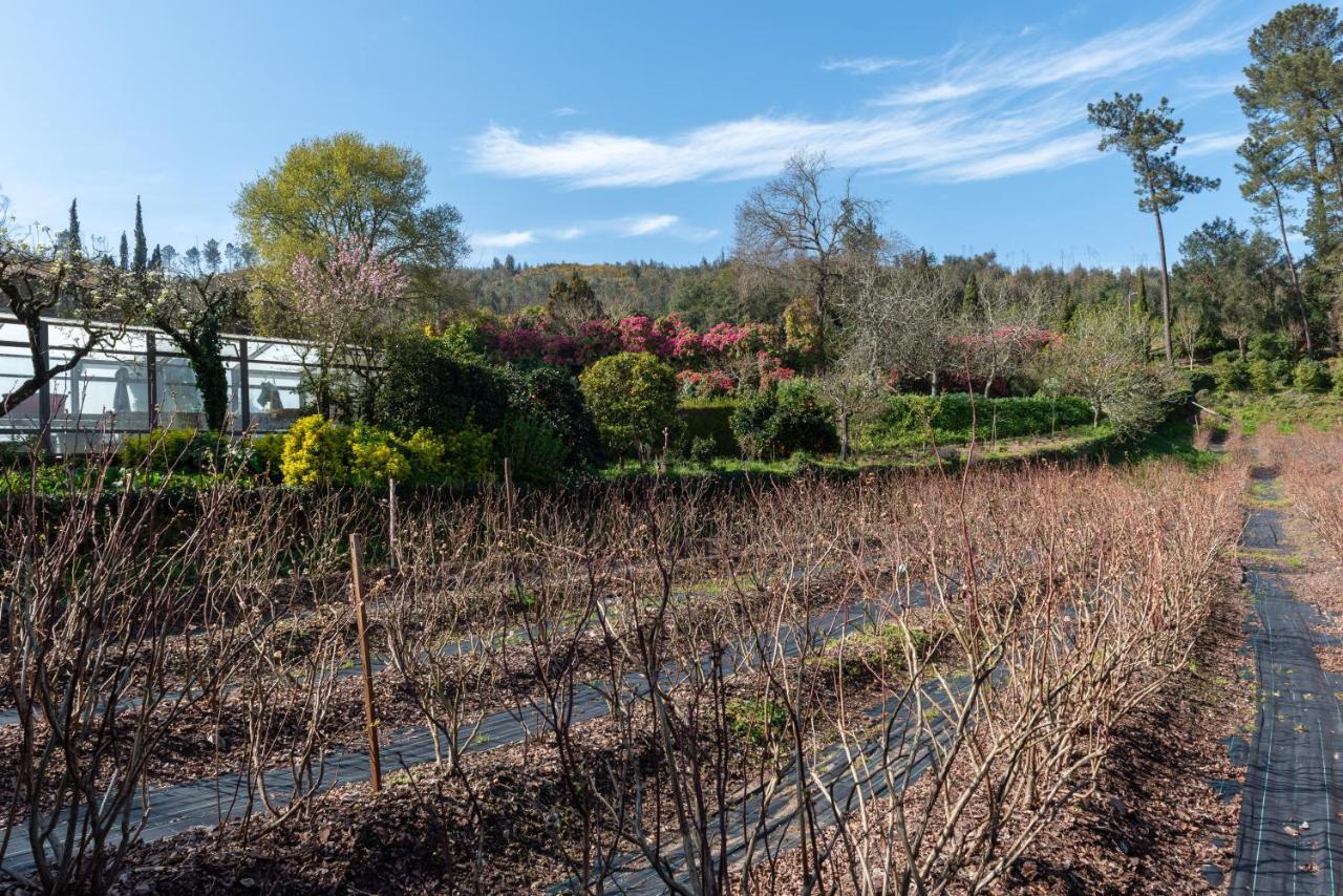 Pensjonat Quinta De Mouraes Casa Dos Rododendros Lever Zewnętrze zdjęcie