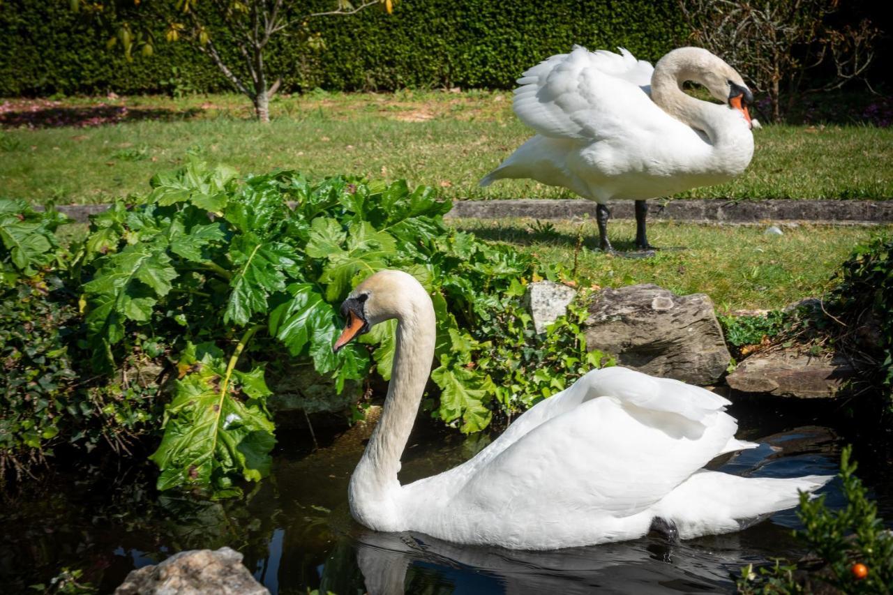 Pensjonat Quinta De Mouraes Casa Dos Rododendros Lever Zewnętrze zdjęcie