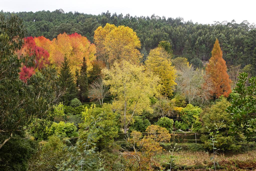 Pensjonat Quinta De Mouraes Casa Dos Rododendros Lever Zewnętrze zdjęcie