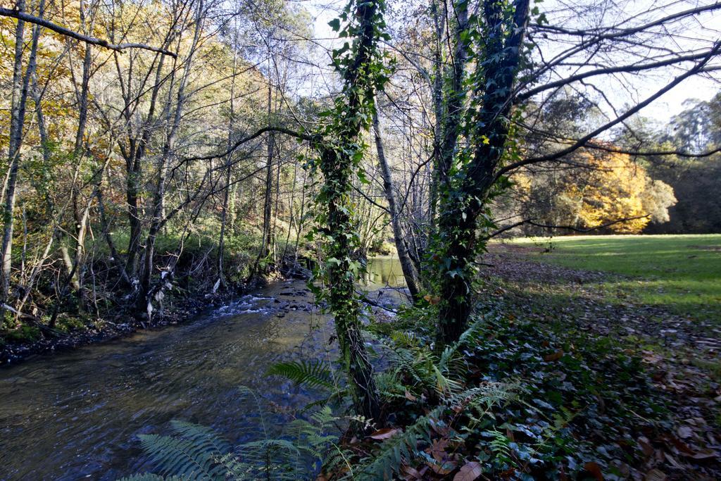 Pensjonat Quinta De Mouraes Casa Dos Rododendros Lever Zewnętrze zdjęcie