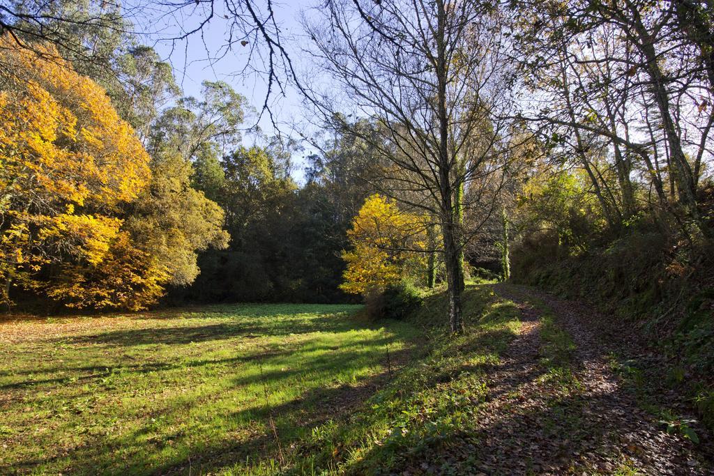 Pensjonat Quinta De Mouraes Casa Dos Rododendros Lever Zewnętrze zdjęcie