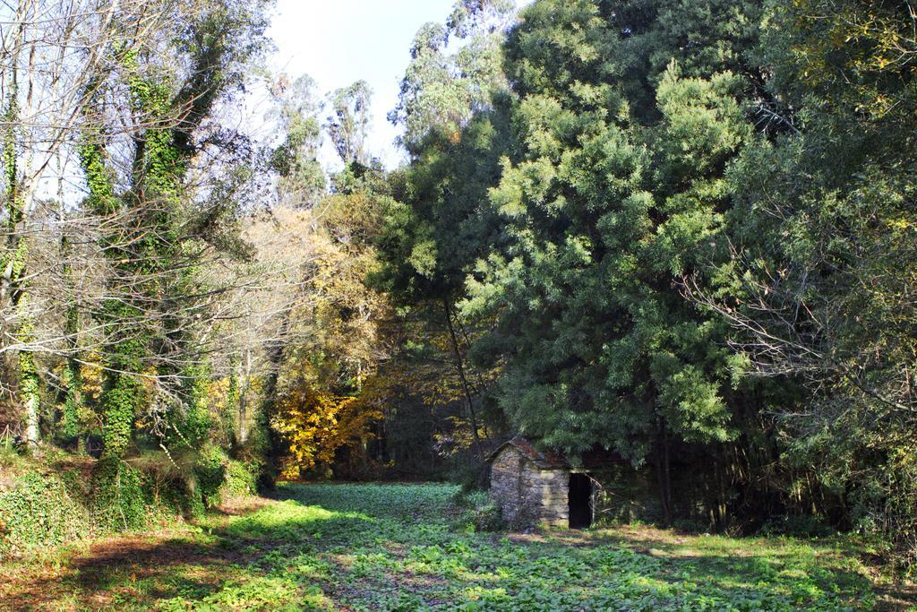 Pensjonat Quinta De Mouraes Casa Dos Rododendros Lever Zewnętrze zdjęcie