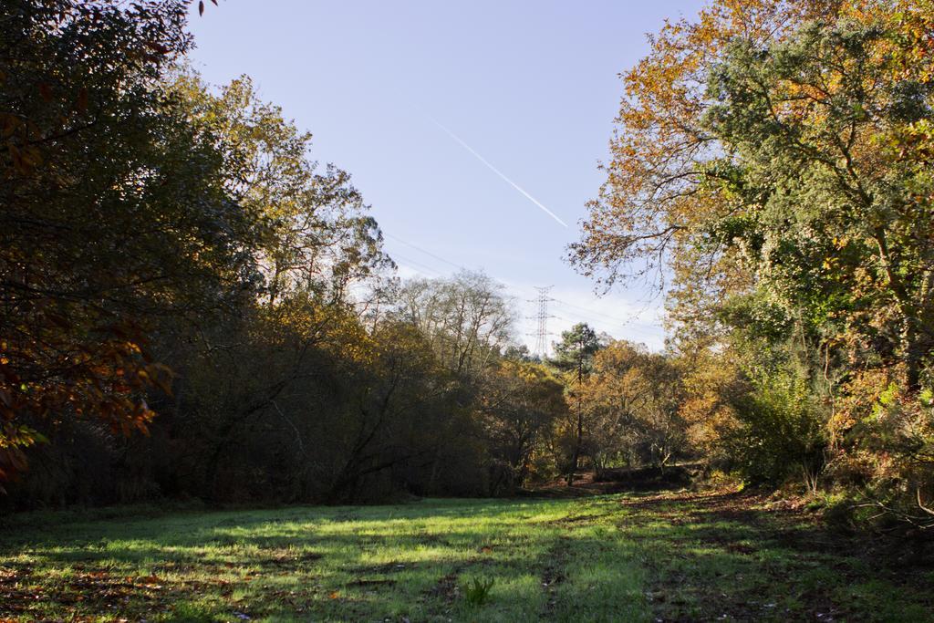 Pensjonat Quinta De Mouraes Casa Dos Rododendros Lever Zewnętrze zdjęcie