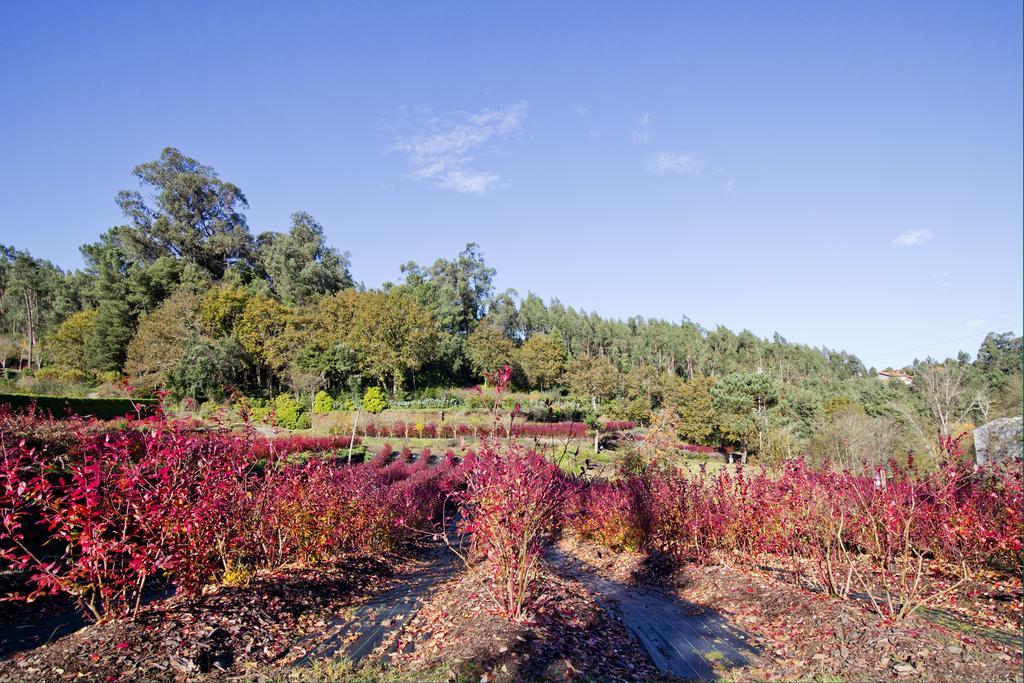 Pensjonat Quinta De Mouraes Casa Dos Rododendros Lever Zewnętrze zdjęcie