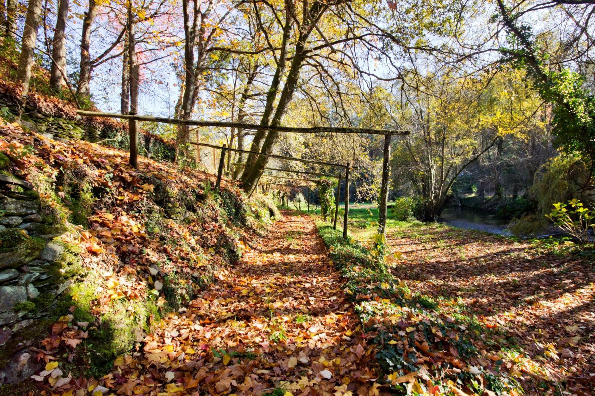 Pensjonat Quinta De Mouraes Casa Dos Rododendros Lever Zewnętrze zdjęcie